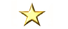 Success Gold Star