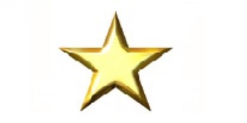 Success Gold Star