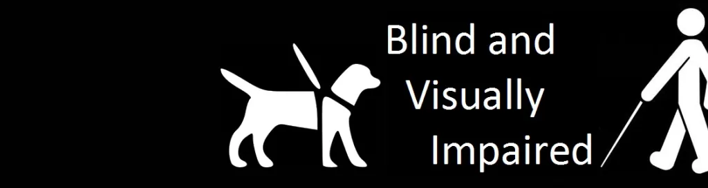 Blind and Visually Impaired Icons